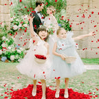 1500+ Real Dried Red Hydrangea Flower Petals - 1.06 oz Natural Preserved Petals for Wedding, Party Confetti,Proposal Decor