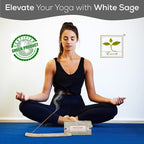 Satya Nag Champa White Sage Incense Sticks, SatyaBng (Bangalore) Insenses 15gmx12 Pack with Raajsee Insence Holder Bundle, Nag Champa Natural Incense