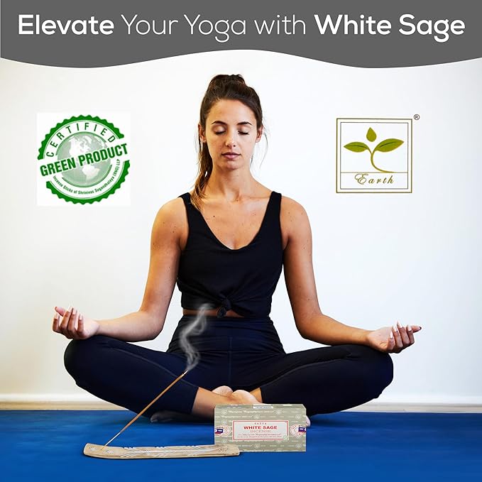 Satya Nag Champa White Sage Incense Sticks, SatyaBng (Bangalore) Insenses 15gmx12 Pack with Raajsee Insence Holder Bundle, Nag Champa Natural Incense