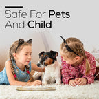 Satya Super Hit Incense Sticks, Satya sai Baba Insenses 15gmx12 Pack with Raajsee Incense Holder Bundle, Nag Champa Natural Incense 180 gm