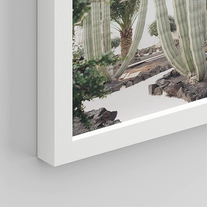 SIGNWIN Framed Cactus Desert Wall Art, Set of 4 Cactus Desert Wall Decor Prints, Nature Wilderness Wall Décor for Living Room, Bedroom - 11"x14"x 4 White