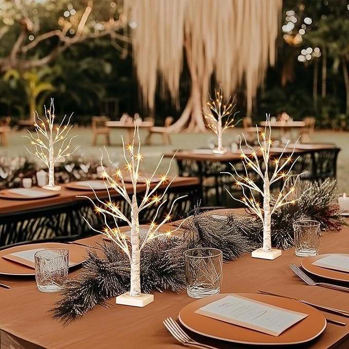 PABIPABI Lighted Birch Tree with LED Lights Christmas Decorations, Small Artificial Bonsai Tree Lights with Timer, LED Tabletop Trees for Home Wedding Decor