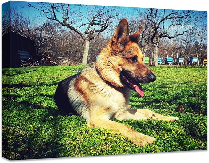 Personalized Photo to Canvas Print - Canvas Prints With Your Photos on Custom Wall Art for Bedroom, Living Room, Wedding Baby Pet Family Picture Framed Wall Art (14" W x 11" H)