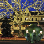 Warm White Wide Angle LED String Lights, 64.8 Ft 300 Count, Pack of 3 Strands 21.9 Ft 100 Lights UL Certified Commercial Grade Green Wire 5mm Holiday String Light