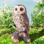 WONDER GARDEN Owl Statue Decor, Outdoor Resin Owl Figurine Sculpture for Home Porch Patio Lawn Yard Decorations or Housewarming Gifts