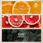 M&SENSE 10.14 oz Large Reed Diffuser Set | Orange Goji Scent Oil Diffuser with Sticks |Hotel Collection Non-Toxic Essential Oil |for Bedroom Bathroom Living Room