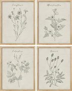 SIGNWIN Framed Vintage Wildflower Wall Art, Set of 4 Plant Collage Drawing Wall Decor Prints, Nature Wilderness Wall Décor for Living Room, Bedroom - 8"x10" Natural