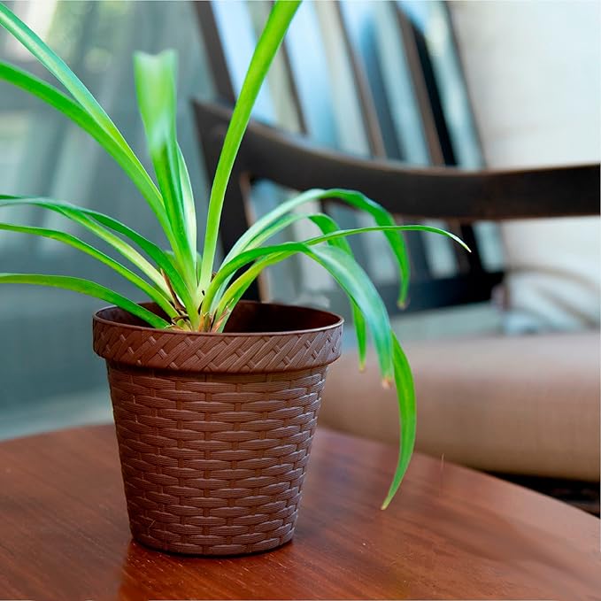 Elly Décor Set of 2 12 inch Round Saucer Modern Self Watering Planter Plates, Pots with Rattan-Like Finish, 12x12 Chocolate Brown