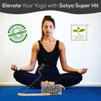 Satya Super Hit Incense Sticks, Satya Bng (Bangalore) Insenses 15gmx12 Pack with Raajsee Incense Holder Bundle, Satya Nagchampa Natural Incense