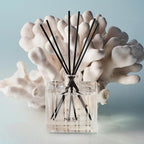 NEST New York Reed Diffuser, Ocean Mist & Sea Salt - 5.9 fl oz - Fragrance for Up to 90 Days - Reusable, Refillable Glass Holder - Includes 8 All-Natural Reed Sticks - Flame Free