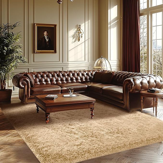 Living Room Area Rugs 7x10: Beige Ultra Fluffy Non-Slip Floor Carpet for Bedroom Living Room Home Office, Soft Shag Rug Home Decor (Beige 7x10 Feet)