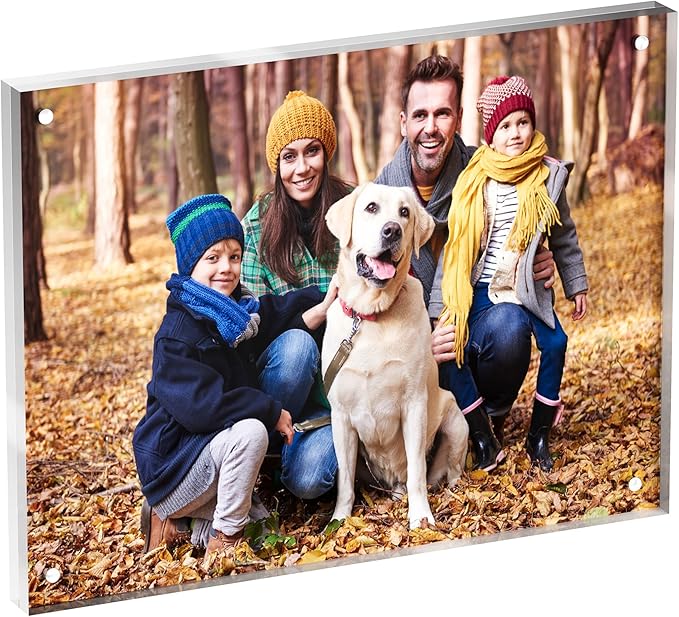 6x8 Acrylic Picture Frame 1 Pack, Clear Freestanding Double Sided Frameless Magnetic Photo Frames, Desktop Display Decor Gift