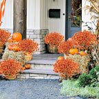 Krissing 48 Bundles Artificial Fall Flowers for Outdoors, UV Resistant Fake Outdoor Silk Flowers Plants Fall Faux Autumn Flowers for Garden Porch Window Box Fall Outside Decor