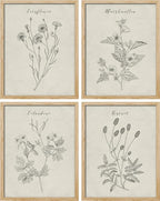 SIGNWIN Poster Bathroom Decor, Wall Art Room Decor Multicolor for Living Room, Bedroom, Office Vintage Wildflower Plant Collage Drawing Nature Wilderness Plant Art Floral Botanical - 12"x16"x4
