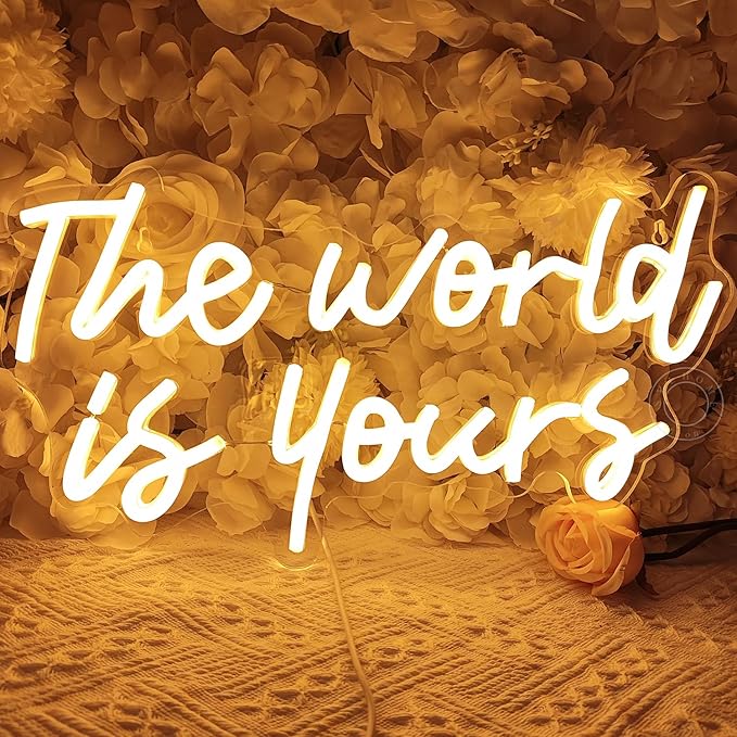 SYLHOME The World Is Yours Led Neon Light Sign Cool Bedroom Game Kids Room Wall Decor Sign Birthday Christmas Party Home Pub Club Bar Inspirational Light Up Sign USB 15.75"X8.46" Warm