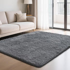 Fluffy Rug Shaggy Area Rug, Dark Grey 4x6 Area Rugs for Bedroom, Small Bedside Rug, Soft Fluffy Shaggy Entryway Throw Rugs for Living Room Bedroom Kids Room Home Decor
