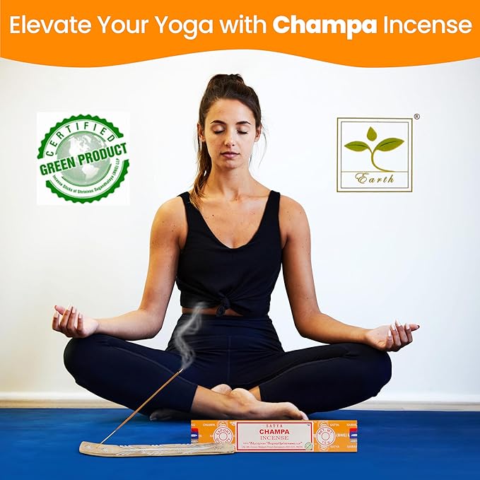 Satya Champa Incense Sticks, Satya Bng Insenses 15gmx12 Pack with Raajsee Incense Holder Bundle, Satya Nagchampa Natural Incense