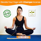 Satya Nagchampa Champa Incense Sticks, Satya Bng (Bangalore) Insenses 15gmx3 Pack (45 GMS) with Raajsee Incense Holder Bundle, Satya Nagchampa Natural Incense