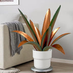 DIY Metal Agave Plant Art Yard Tequila Art Sculpture, Tequila Rustic Garden Sculpture Statue Outdoor Decor,Agave Metal Plants for Yard, Garden Lawn Ornaments (12 Leaves -Green)