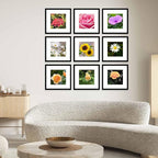 12 Pack 12x12 Picture Frame with 8x8 Mat, Display 8x8 with Mat or 12x12 Without Mat, 12 by 12 Frames Bulk Set of 12 Collage Gallery Wall Decor Photo Frames Set for Wall, Black