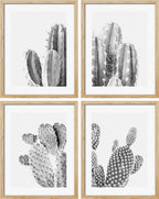 SIGNWIN Poster Set Black & White Saguaro Southwest Desert Tropical Cactus Floral Botanical Photography Modern Art Decorative Scenic Multicolor Nature Wilderness for Bedroom - 8"x10"x 4
