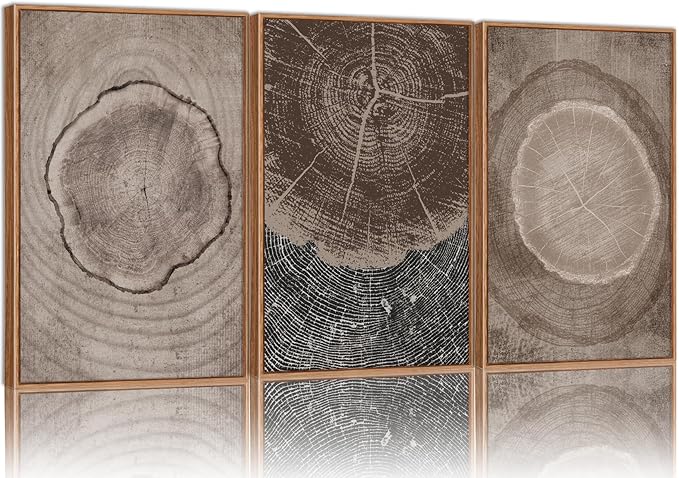 SIGNINART Beige Tree Ring Framed Canvas Wall Art Set, Abstract Black and White Rustic Wood Wall Decor, Neutral Wood Stump Artwork, Modern Art Prints for Bedroom Living Room Office 16"x24"x3