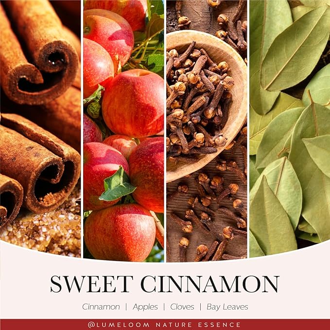 Cinnamon Luxury Scented Candles, 14.5oz Soy Wax Candles for Home Scented, Sweet Cinnamon, Apple, Clove Scent, Long Burning Time, Gifts for Women, Men, Sister, Teacher