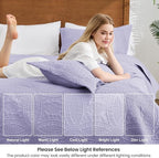 Love's cabin Quilts for Queen Bed Lavender Bedspreads Bedding Set - Lightweight Bedspread Comforter - Coin Pattern Bedding Coverlet for All Season - 3 Pieces (1 Quilt, 2 Pillow Shams)