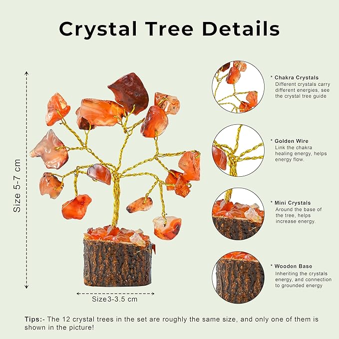 Crocon 12 Crystal Tree of Life Return Gifts Birthday Gifts for Women Chakra Healing Crystals & Stones for Positive Energy Good Luck Home and Office Decor Party Favor Gift for Mom & Dad Housewarming