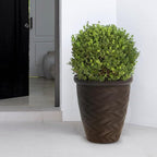 Worth Garden 2-Pack 16" Large Round Planter - Weave Pattern Lightweight Plastic Plant Pot 16" x 17.5" for Indoor Outdoor Use - Decorative Containers for Front Porch Home Yard Deck Patio - Dark Brown