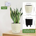 Dexceder 9x8 Inches Self Watering Planter Indoor Outdoor, Inner Pot Design, Thickened Table Flower Plant Pot with Water Level Indicator (White Gold Crackle)