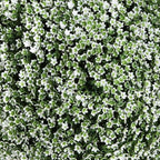 Bornbridge Artificial Baby's Breath Topiary Ball Tree - 4' Baby's Breath Ball Tree - Indoor/Outdoor Topiary Trees - Artificial Outdoor Plants (2 Pack)