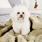 Amélie Home Chenille Knit Throw Blanket for Couch, Checkered Texture Decorative Soft Blanket for Sofa, Bed & Living Room, 50"x60", Beige