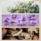 M&SENSE 10.14 oz Large Reed Diffuser Set | Lavender Glow Scent Oil Diffuser with Sticks | Hotel Collection Non-Toxic Essential Oil |for Bedroom Bathroom Living Room