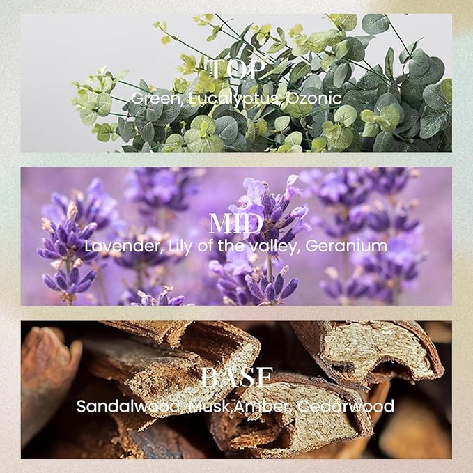 M&SENSE 6.3 oz Large Reed Diffuser Set | Lavender Glow Scent Oil Diffuser with Sticks | Hotel Collection Non-Toxic Essential Oil |for Bedroom Bathroom Living Room