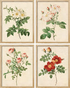 SIGNWIN Poster Bathroom Decor 8"x10", Wall Art Room Decor Multicolor for Living Room, Bedroom, Office Vintage Colorful Wildflower Variety Nature Wilderness Plant Art Floral Botanical