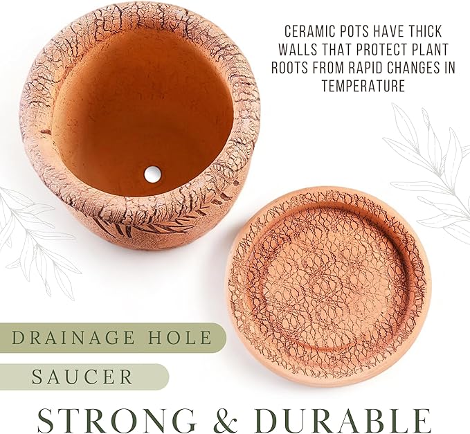 Ceramic Pot with Drainage Hole and Saucer, Plant Pots, Modern Decorative Planters for House Plants Indoor Flowers Plants, Cute Flower Pot - Gifts (Mushrooms)