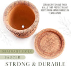 Ceramic Pot with Drainage Hole and Saucer, Plant Pots, Modern Decorative Planters for House Plants Indoor Flowers Plants, Cute Flower Pot - Gifts (Cats (3 L))