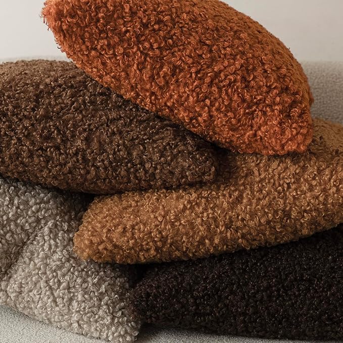 Foindtower 2 Pieces 18x18 Inch Burnt Orange, Faux Fur Throw Pillow Cover Accent Sherpa Furry Pillow Cover Fuzzy Soft Pillowcases Cozy Sheepskin Decorative Fleece Cushion Case for Bed Couch Living Room