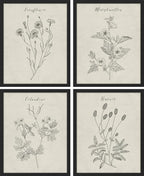 SIGNWIN Framed Vintage Wildflower Wall Art, Set of 4 Plant Collage Drawing Wall Decor Prints, Nature Wilderness Wall D¨¦cor for Living Room, Bedroom - 12"x16" Black