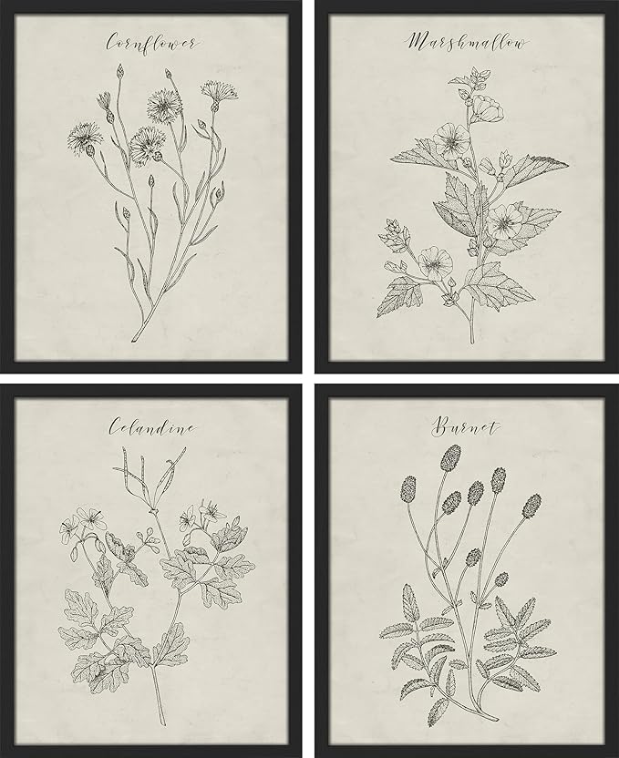 SIGNWIN Framed Vintage Wildflower Wall Art, Set of 4 Plant Collage Drawing Wall Decor Prints, Nature Wilderness Wall D¨¦cor for Living Room, Bedroom - 12"x16" Black