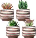Mini Succulent Planter Set – 3.7 Inch Ceramic Pots with Drainage for Indoor Plants, Small Decorative Flower Pots for Cactus and House Plants, Set of 4