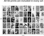 Y2K BOO Modern & Classic Black & White Aesthetic Wall Collage Kit – 50 Glamorous Party Photos, 4"x6" for Teen Girls Dorm Room Decor, Bold & Sparkling Moments, Ideal Gift for Birthday & Graduation