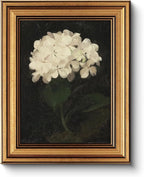 HUARCEY Gold Framed Vintage Wall Art for Living Room, Flowers Painting Canvas Prints Shelf Decor for Kitchen, Aesthetic Bedroom Wall Art, Christmas Gifts for Friends or Family (White Hydrangea 8"x10")