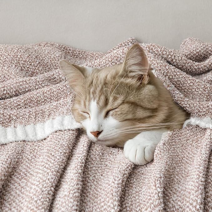 MIULEE Super Soft Throw Blanket for Couch, Taupe Cozy Fluffy Warm Blankets Lightweight Knit Throw Blankets for Sofa, Bed, Chair, Living Room, Camping, Picnic, 60 x 80 inch