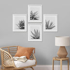SIGNWIN Framed Black White Snake Plant Agave Cactus Succulent Wall Art, Set of 4 Floral Botanical Wall Decor Prints, Nature Wilderness Wall Décor for Living Room, Bedroom - 12"x16" White