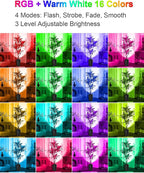 ZUCKEO RGB Spotlight Indoor Uplights 5W Floor Can Light Up Accent Lighting, LED Color Changing Spot Lights for Home Plant Christmas Halloween Decor, GU10 Bulb, 5.25FT Plug in Cord & Switch, 2 Pack