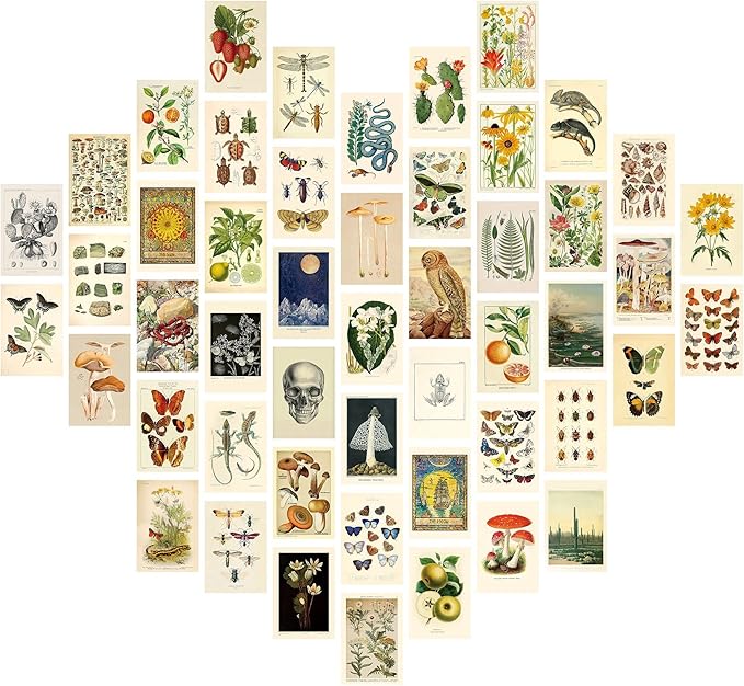 NGETC 50PCS Wall Collage Kit Double-Sided Printed Botanical Illustration Tarot Aesthetic Pictures Retro Wall Art Hippie Room Wall Decor Boho Postcards Pack Nature Posters for Adults Teen Girls Room