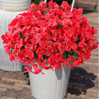 Ivydale Artificial Bougainvillea Flowers for Outdoors Decoration, 4 Bundles Fake Flower UV Resistant Realistic Silk Flowers for Outside, Faux Plants for Planter Patio Porch Home Decor (Red)