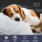 puredown Soft Bed Pillows for Sleeping, Goose Feather Down Pillows Hotel Collection King Size of 2, Netting Pattern Embossing Pillows for Back Stomach Side Sleepers (20 x 36, 2 Pack)